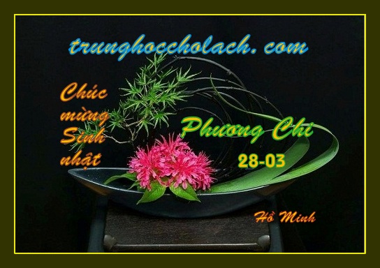 0 phuongchi