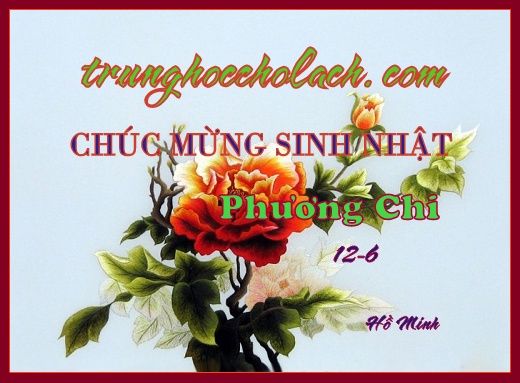 t6-phuong-chi