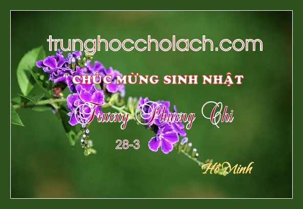 0 0SN Chi Truong