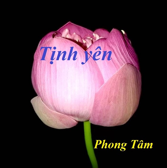 Tinh yen