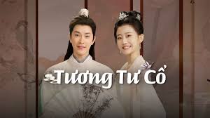 Tuong tu