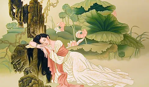 hai sen